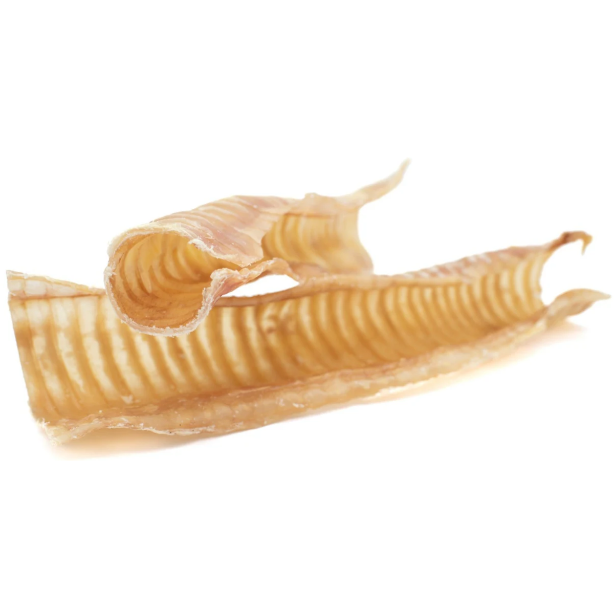 Two 12-inch beef trachea dog treats from Bully Bunches.