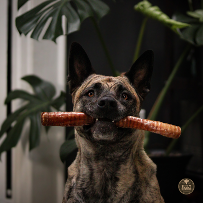 12 Inch Trachea Wrapped in Jerky