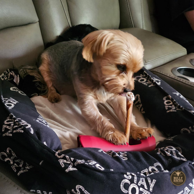 Bâton de collagène de 5 à 6 pouces