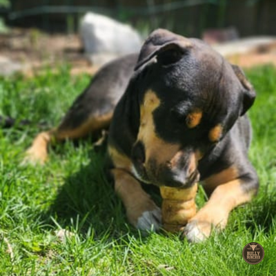 5-6 Inch Peanut Butter Cheek Roll