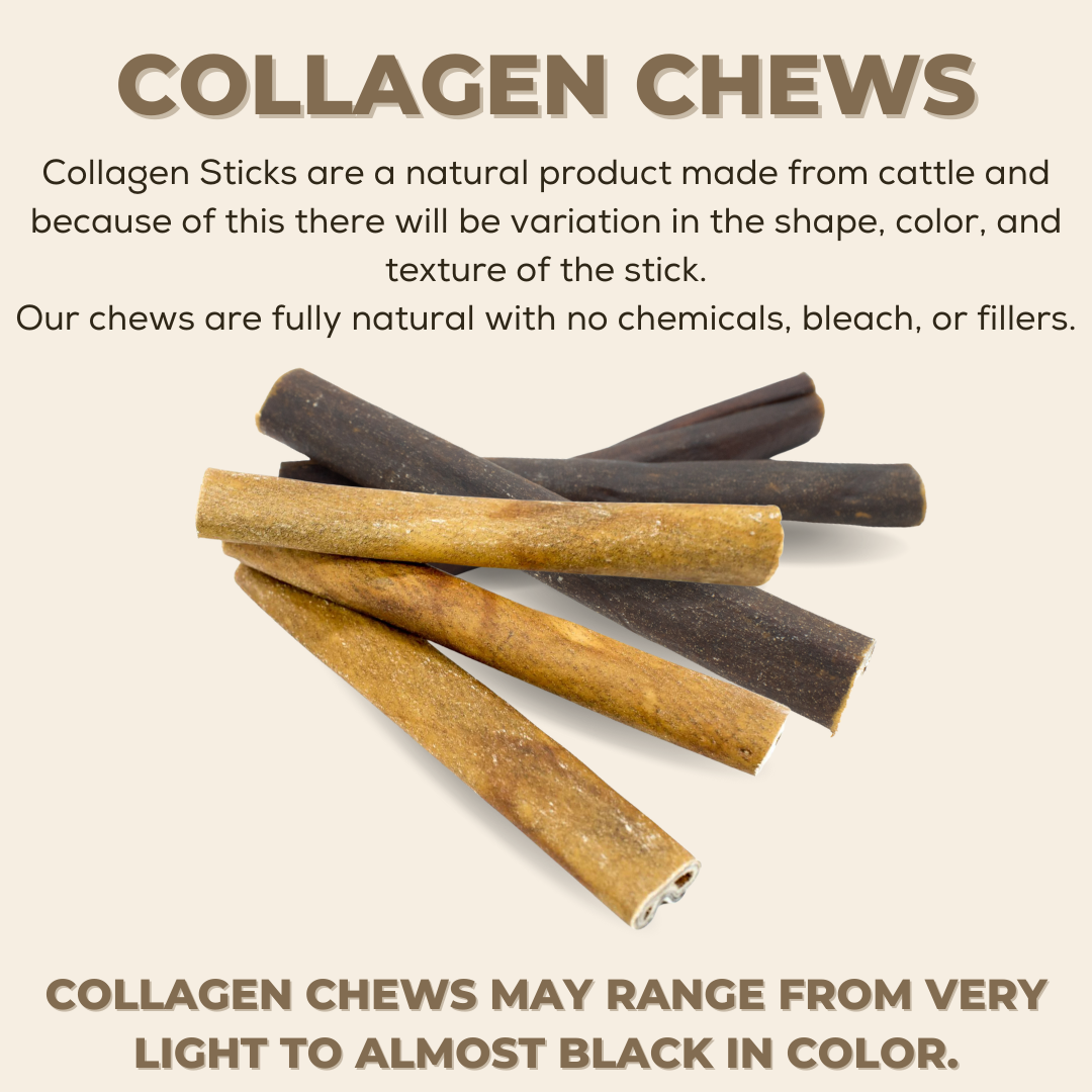 Infographic highlighting the benefits of 10-12 inch standard collagen wrapped in a bully stick.