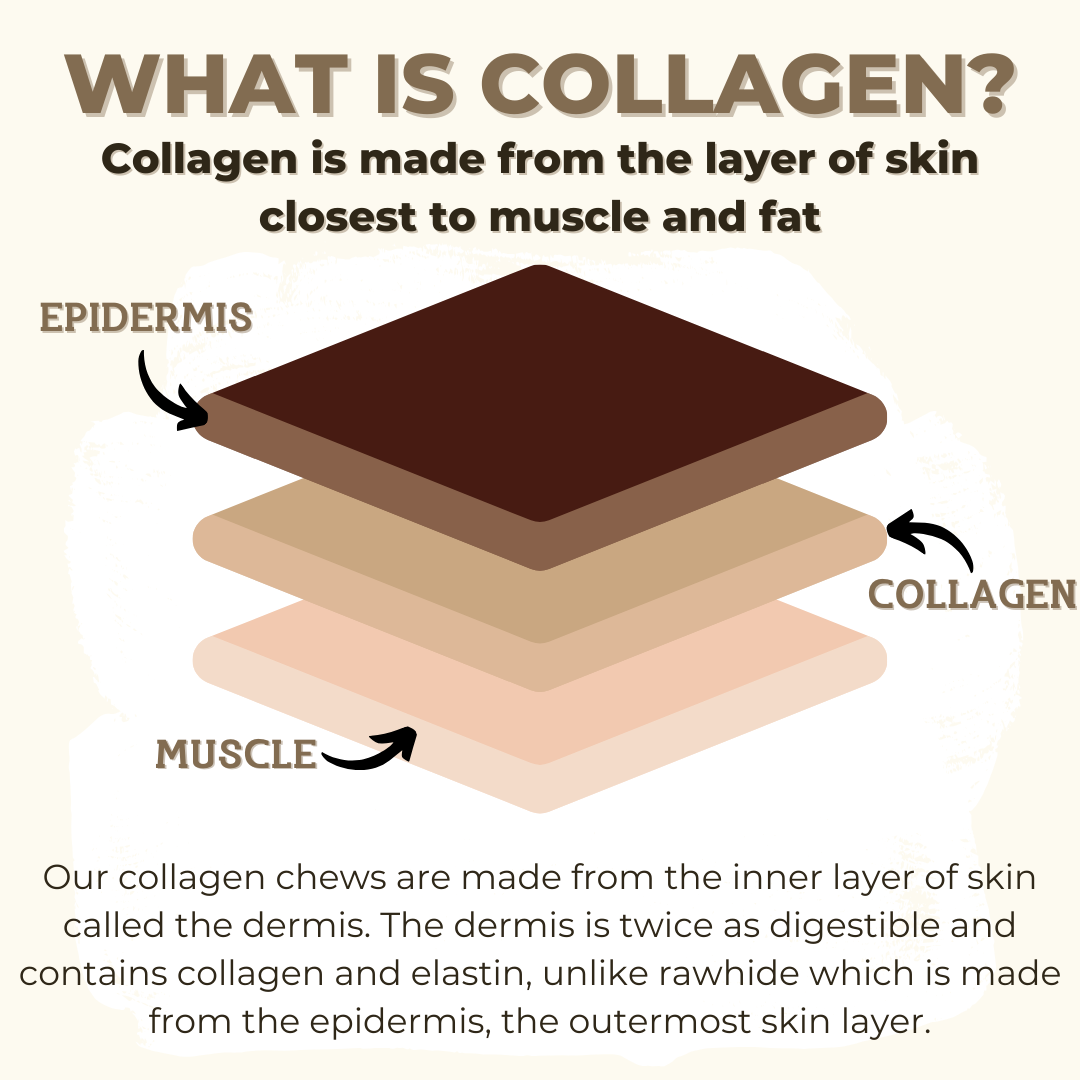 Infographic highlighting the layers of collagen dog treats from Bully Bunches.