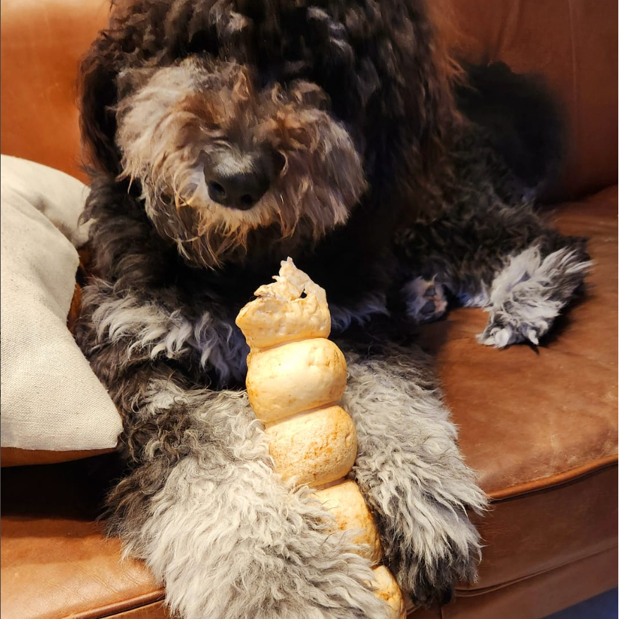 Brown fluffy dog eating a 10-12 inch peanut butter cheek roll from Bully Bunches.