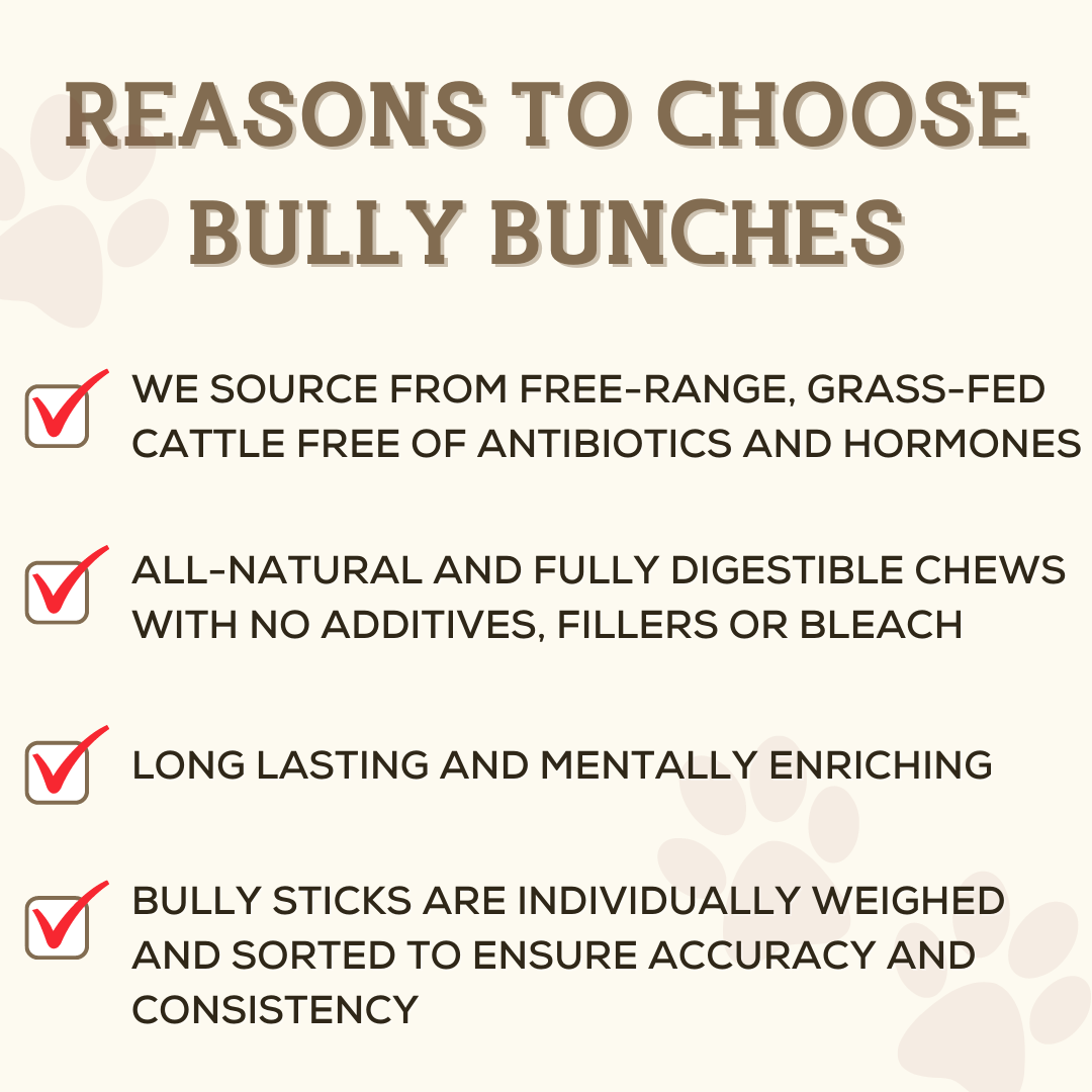 Infographic highlighting the benefits and reasons to choose premium dog treats from Bully Bunches.