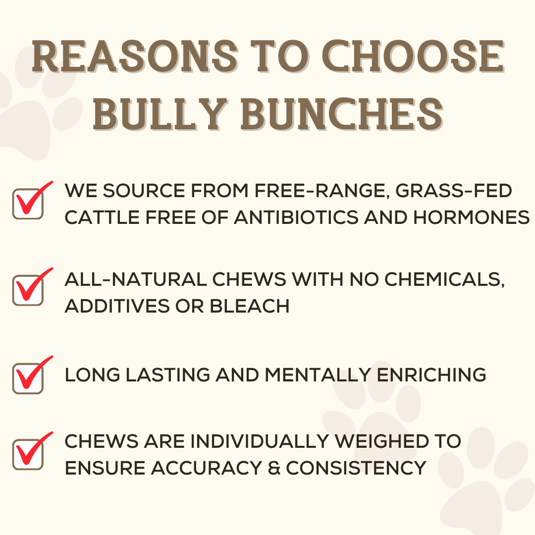 Infographic highlighting the benefits and reasons to choose premium dog treats from Bully Bunches. 6-inch monster braided bully stick.