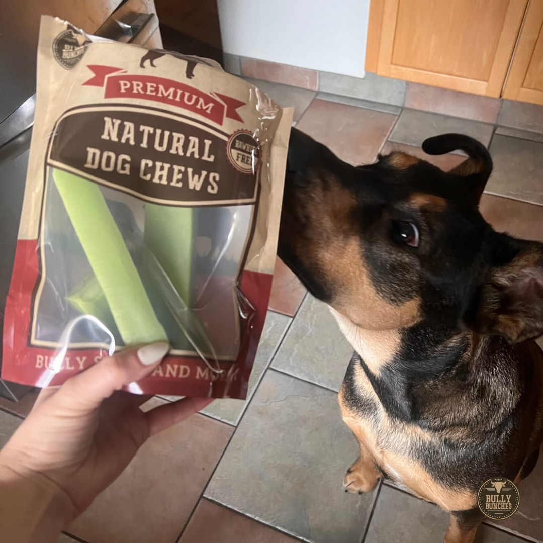 Black and brown dog sniffing a bag of medium-sized mint Himalayan Yak Chews from Bully Bunches.