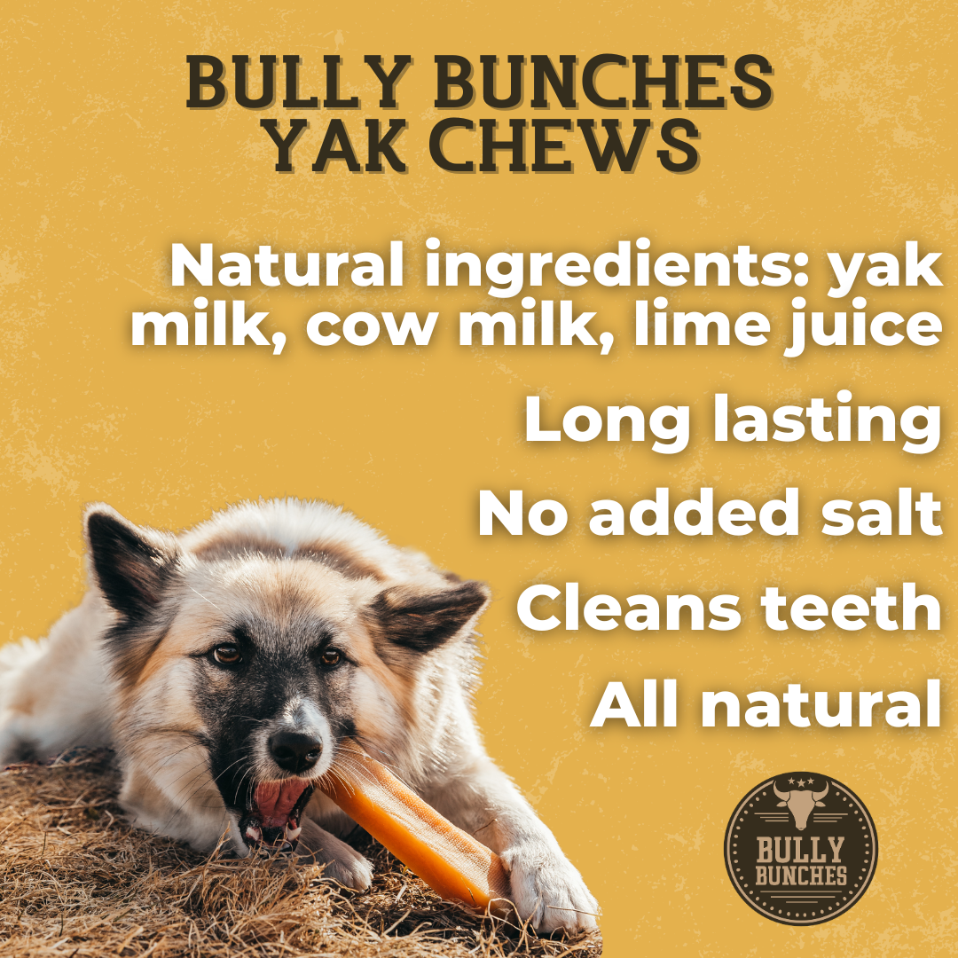 An infographic of Himalayan yak chew large sizes and benefits.