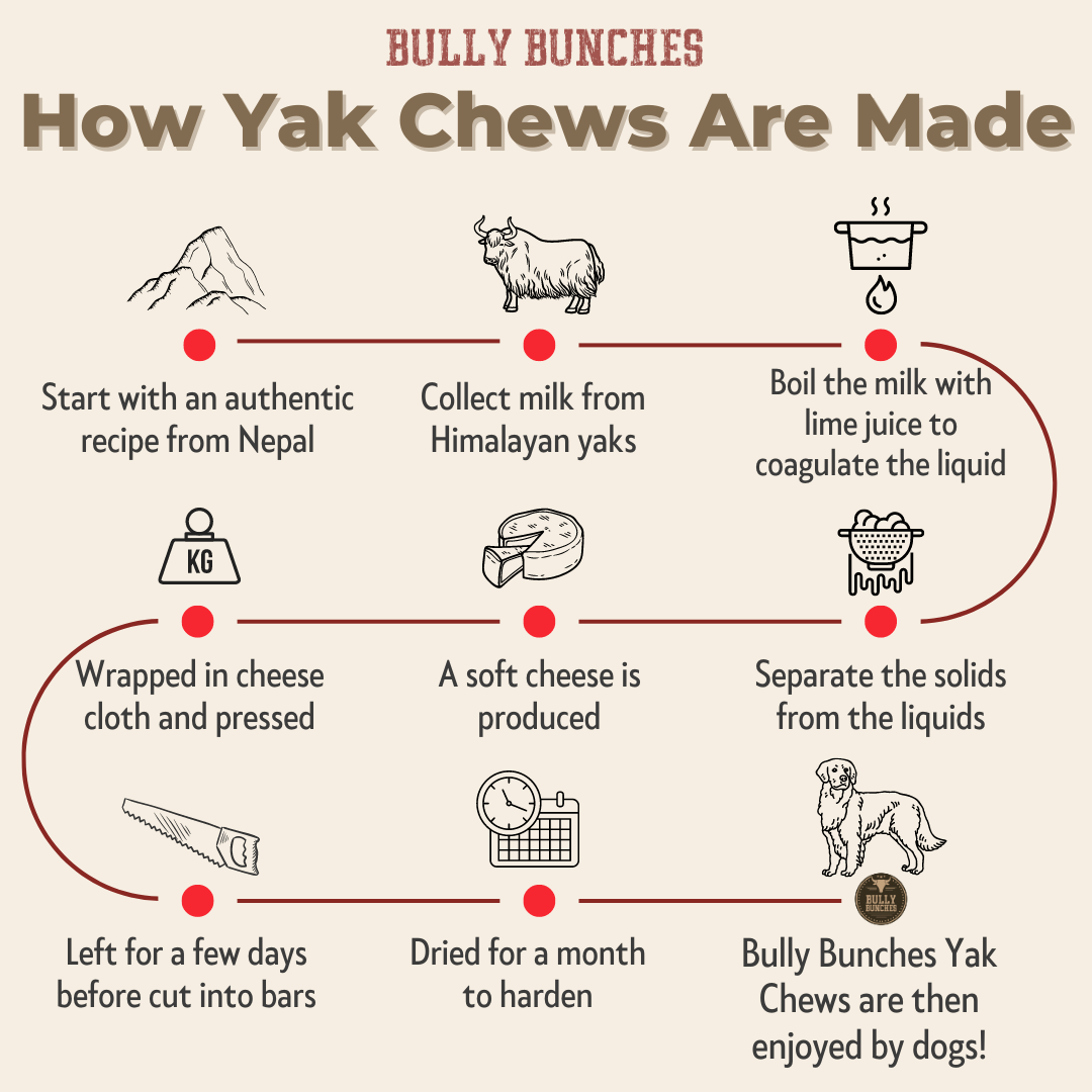 Infographic of how Himalayan yak chew large sizes are made.