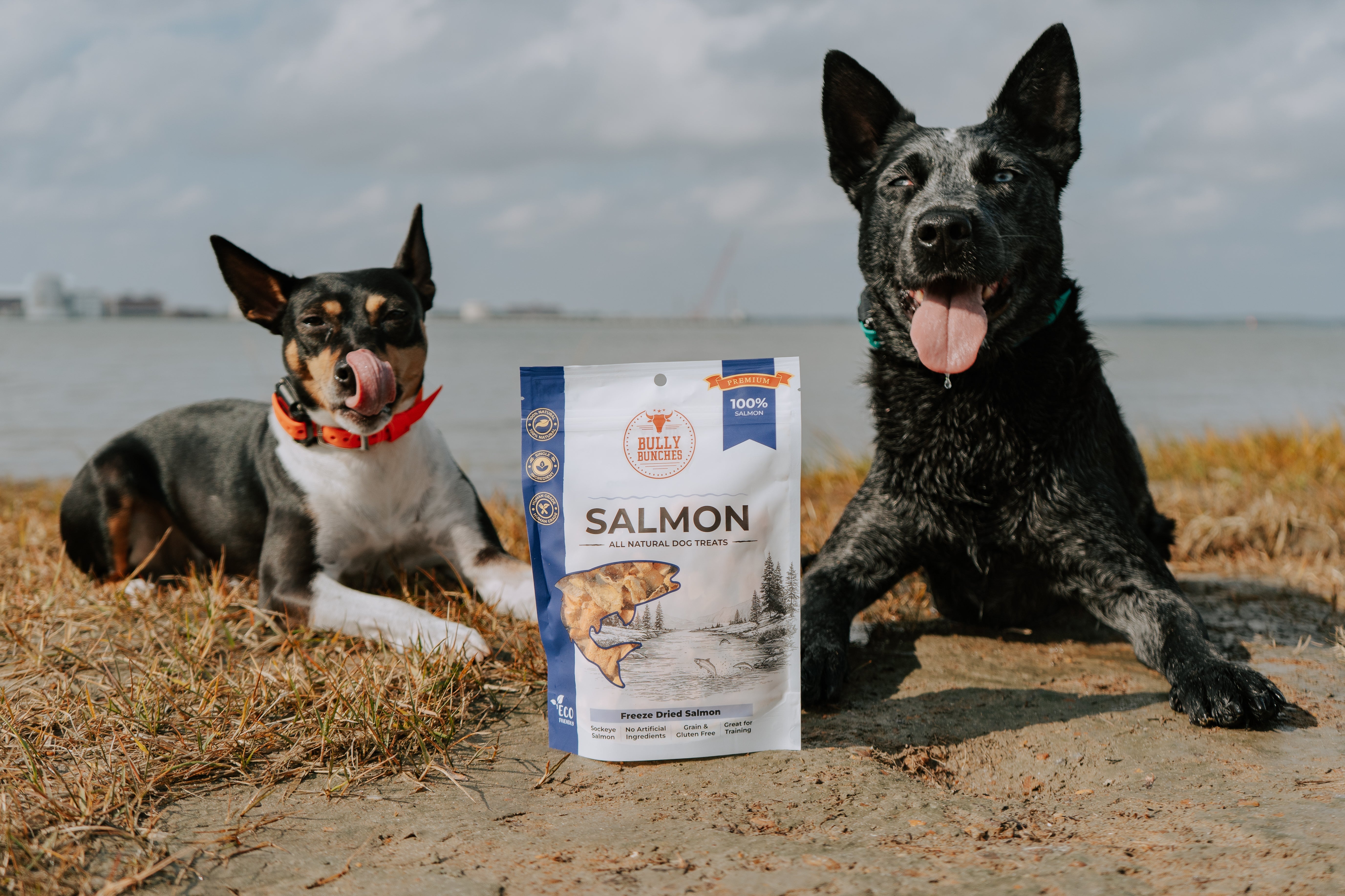Two dogs posing with Bully Bunches freeze dried dog treats