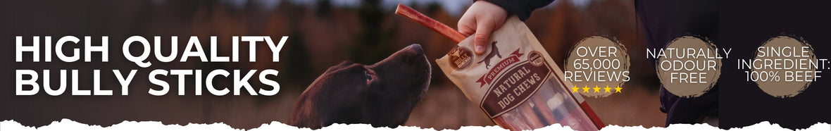BULLY STICKS