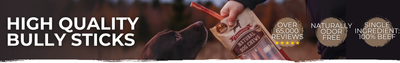 BULLY STICKS