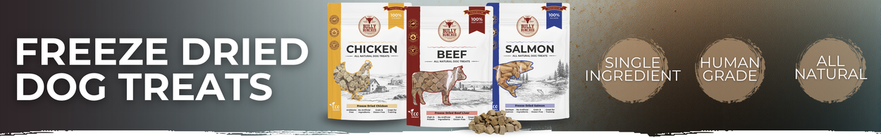 FREEZE DRIED DOG TREATS