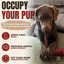10-12 Inch Braided Collagen Stick