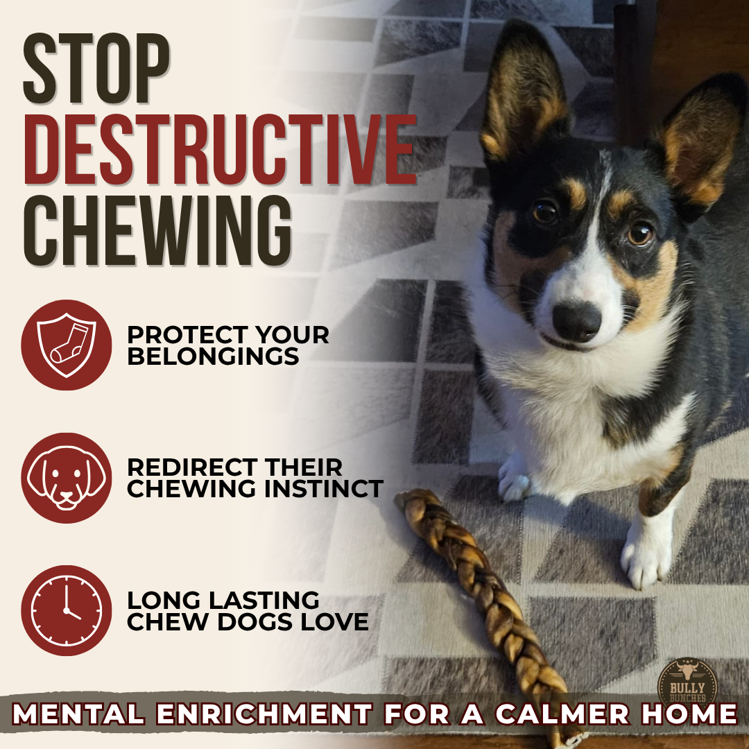 10-12 Inch Braided Collagen Stick