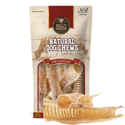 Trachée de boeuf de 12 pouces