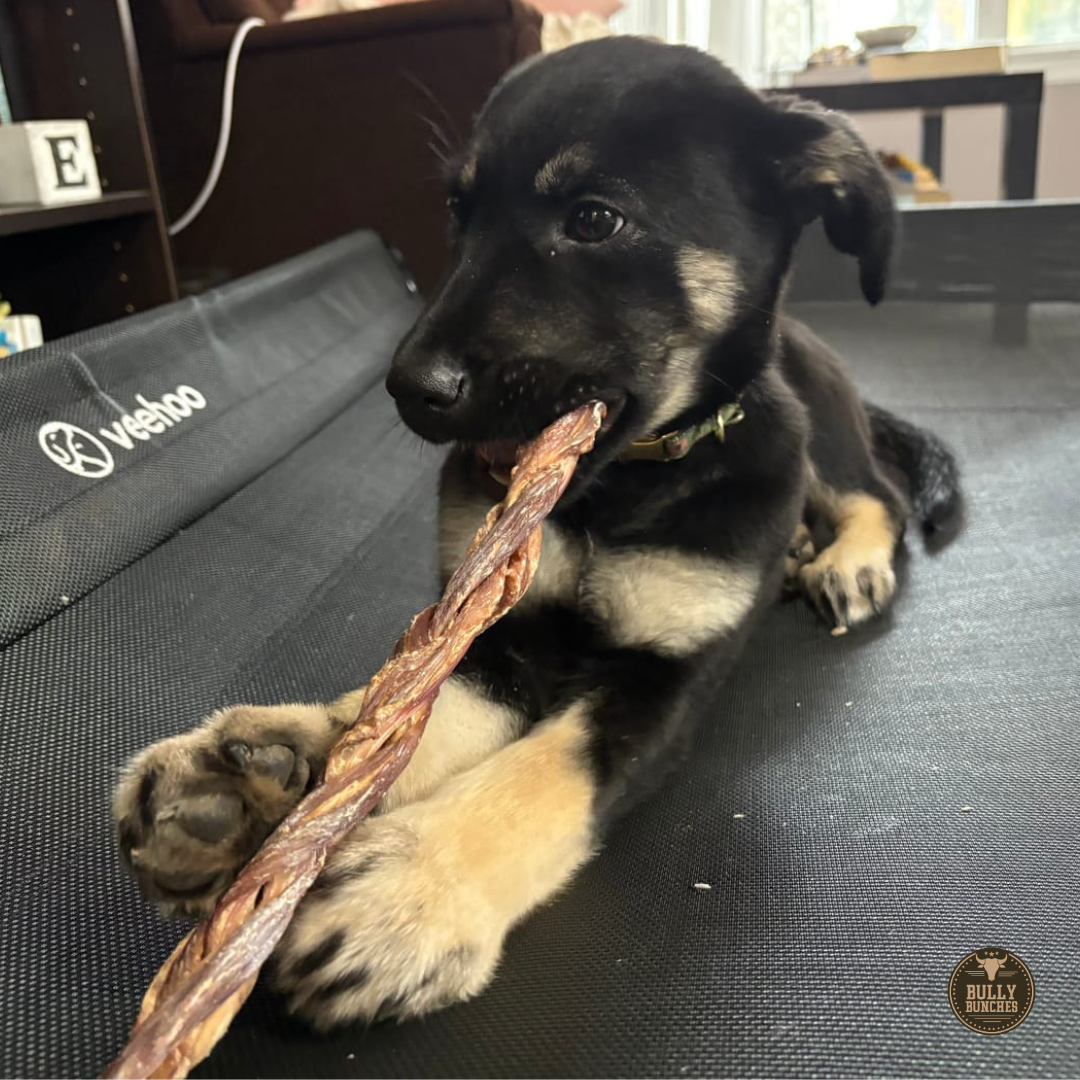 12 Inch Braided Jerky Stick