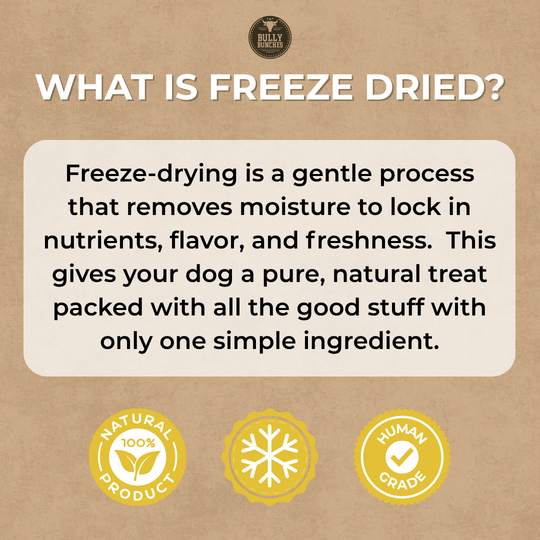 Freeze Dried Chicken 100g / 3.5oz