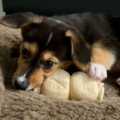 Rouleau de joue de bœuf de 5 à 6 pouces