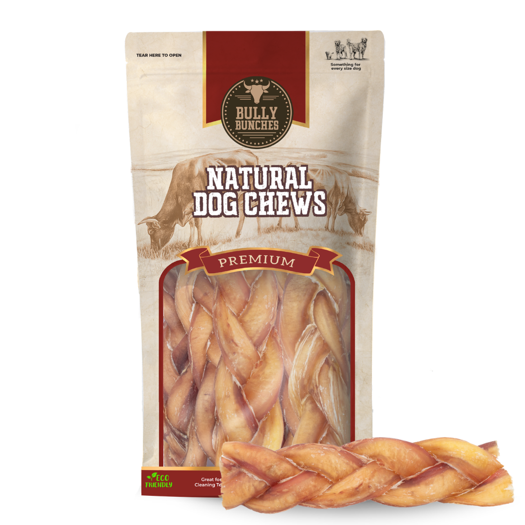 Bully Stick Tressé Géant De 6 Pouces