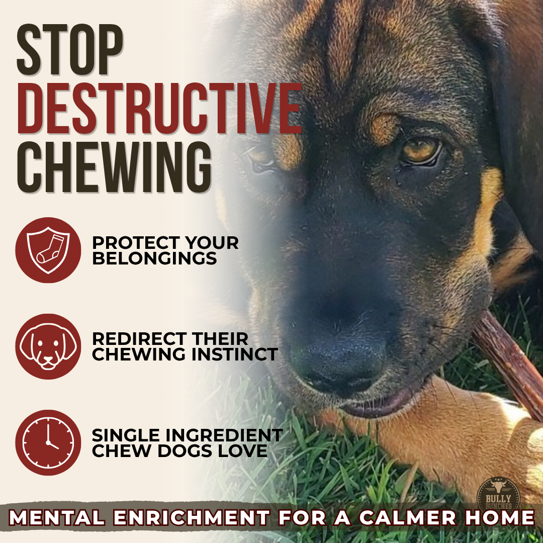 Bâtonnet de boeuf séché de 6 pouces