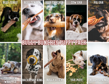 Pack chiot Bully Bunches
