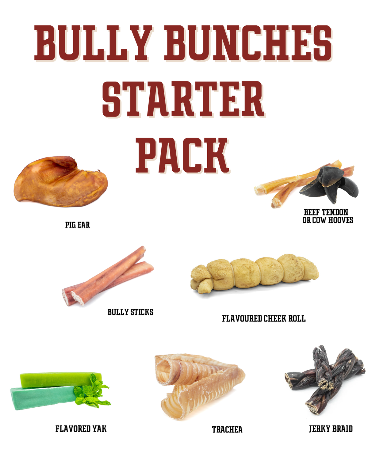 Pack de Démarrage