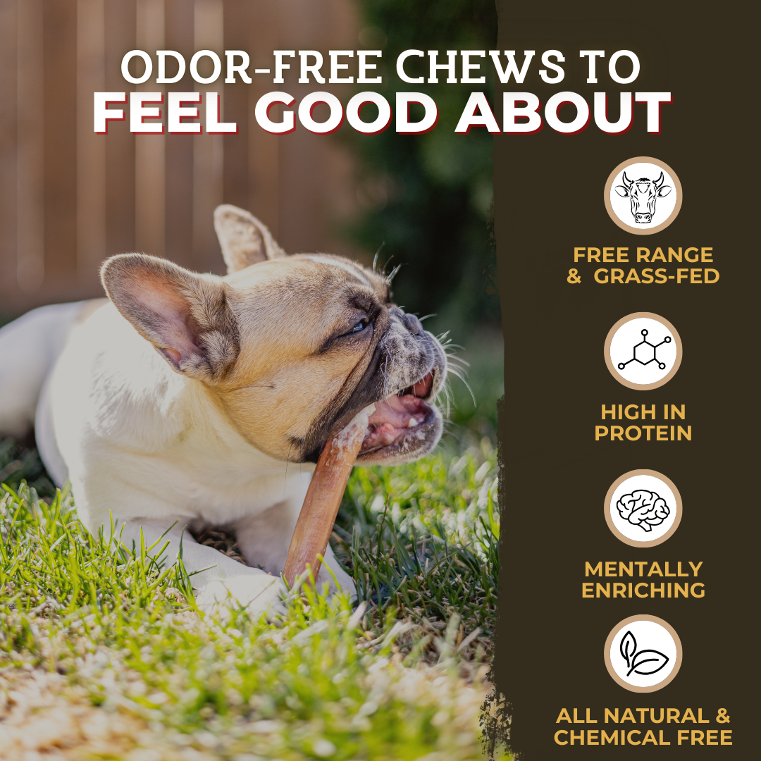 Bully Stick Standard De 6 Pouces