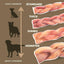 6 Inch Jumbo Braided Bully Stick
