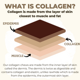 10-12 Inch Thin Braided Collagen
