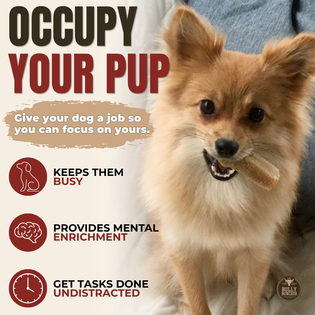 Himalayan Yak Chew (SMALL)