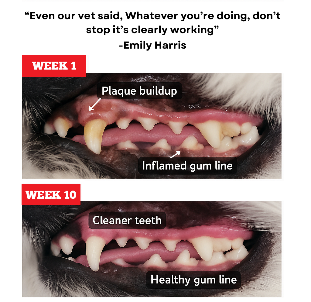 Himalayan Yak Chew (LARGE)