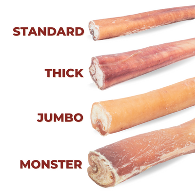 6 Inch Standard Bully Stick