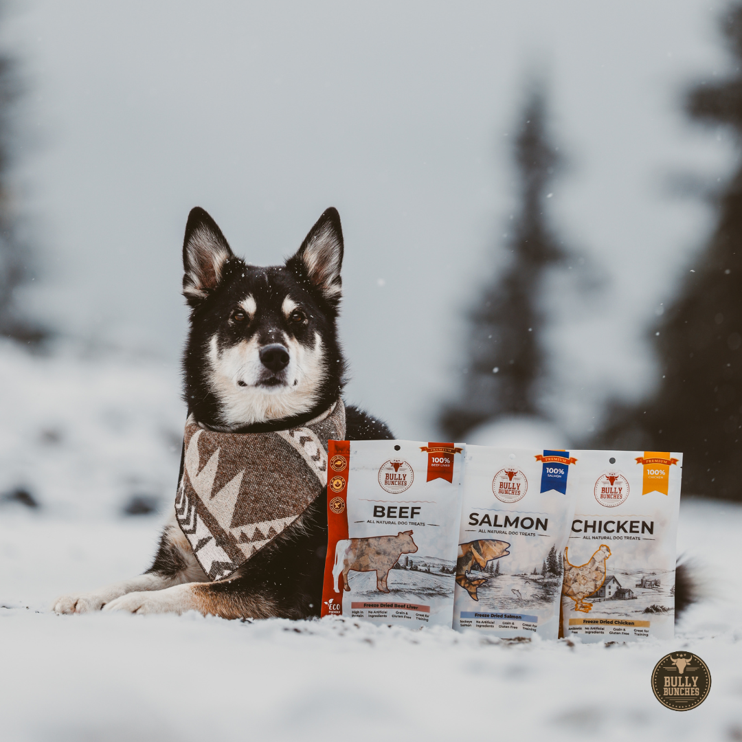 Assortiment de 3 sachets de 100 g / 3,5 oz d'arômes lyophilisés