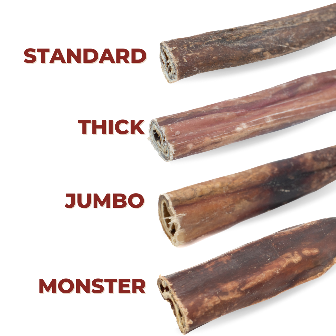 10-12 Inch Monster Collagen Wrapped in Bully Stick