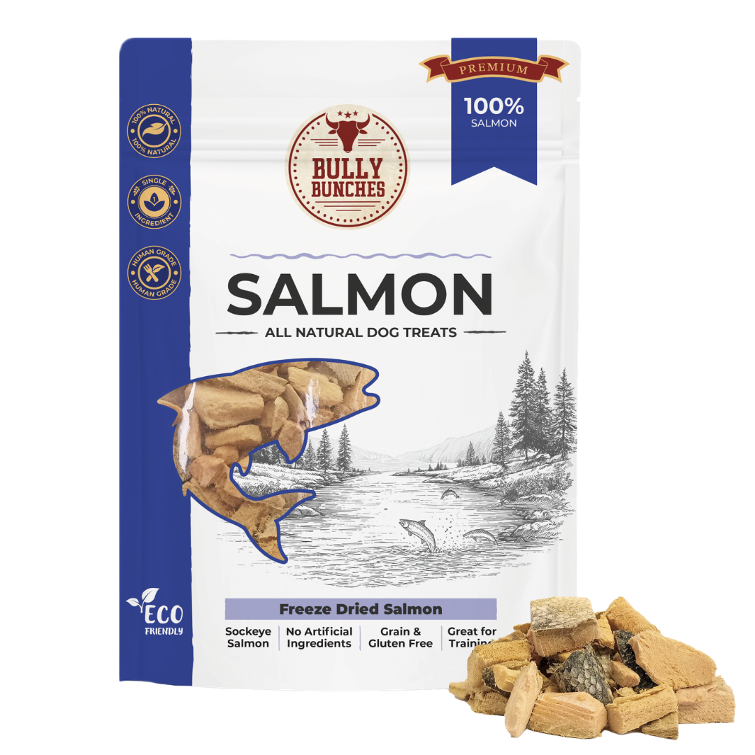 Saumon lyophilisé 100 g / 3,5 oz