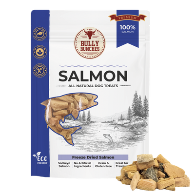 Saumon lyophilisé 100 g / 3,5 oz