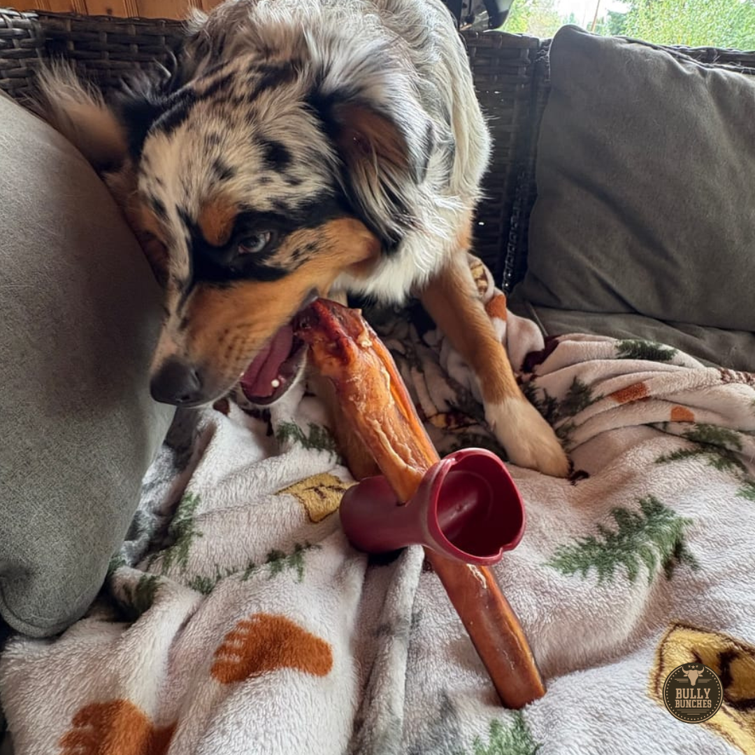 12 Inch Mega Monster Bully Stick (LIMITED)