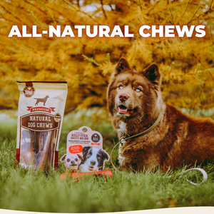 Top chews best sale website