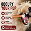 6 Inch Standard Bully Stick