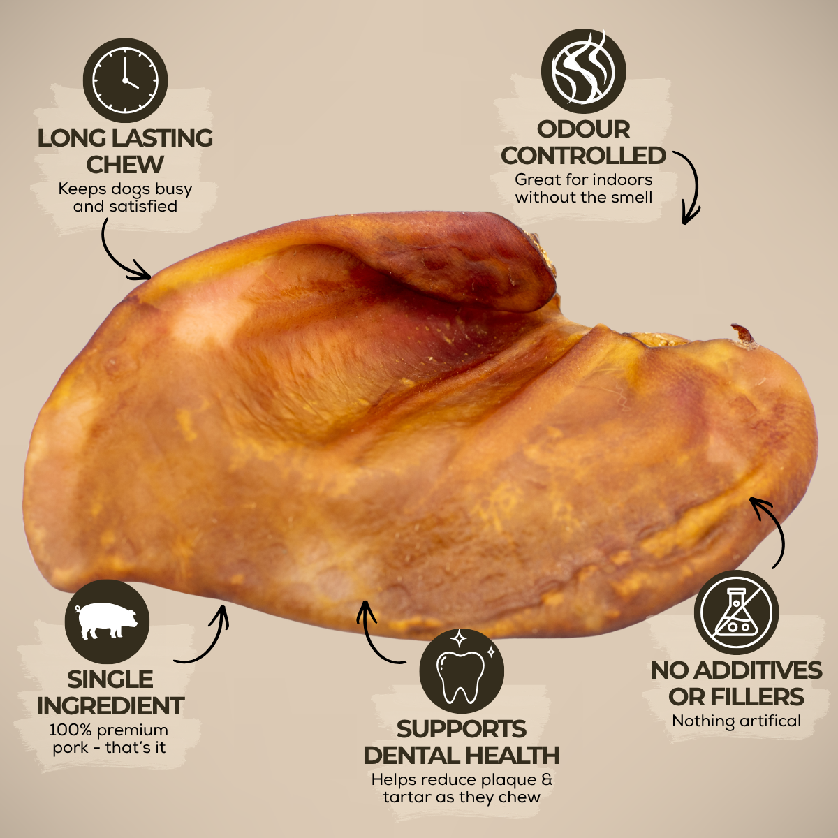 Oreille de porc entière