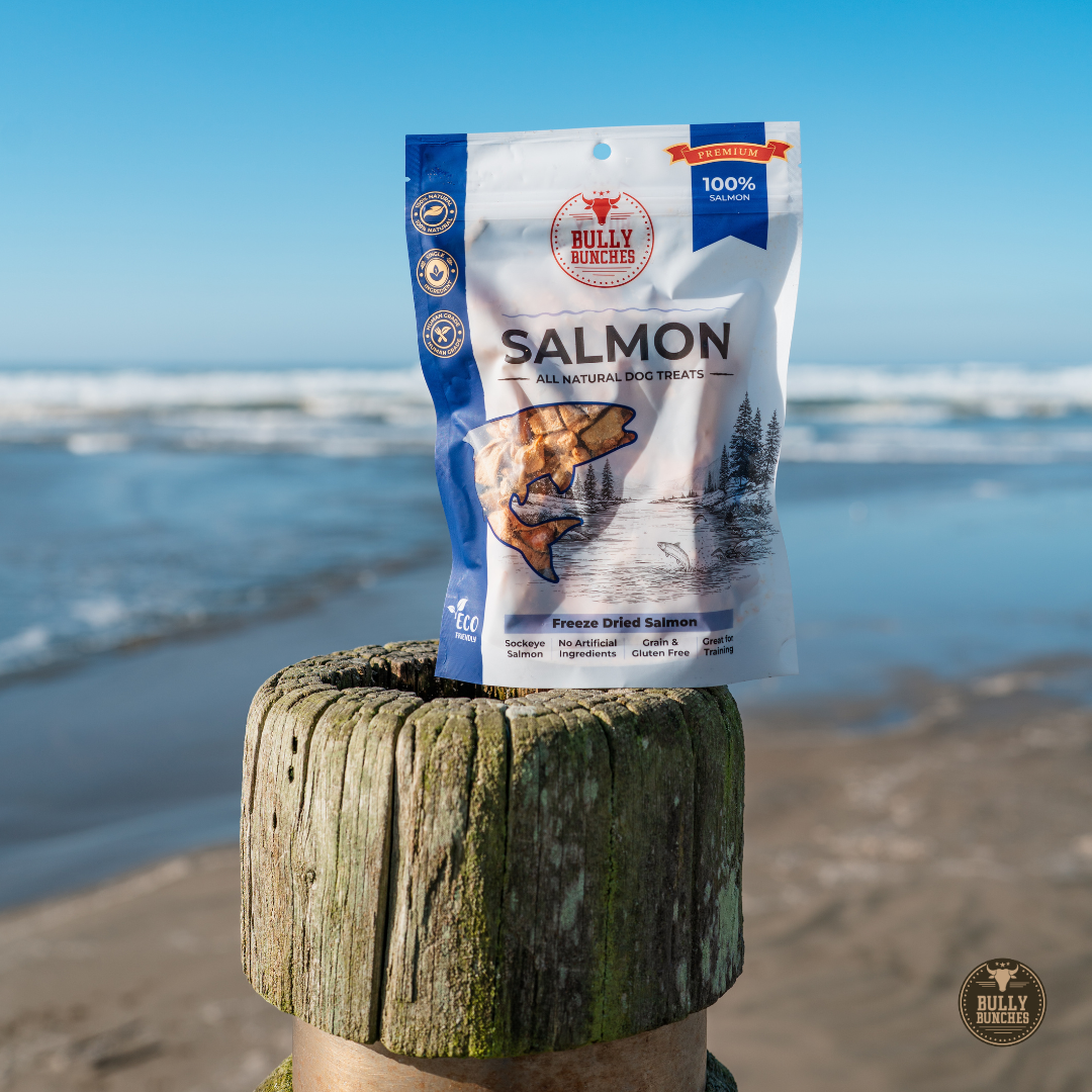 Saumon lyophilisé 100 g / 3,5 oz