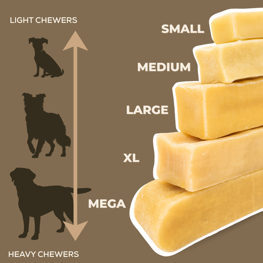 Himalayan Yak Chew (LARGE)