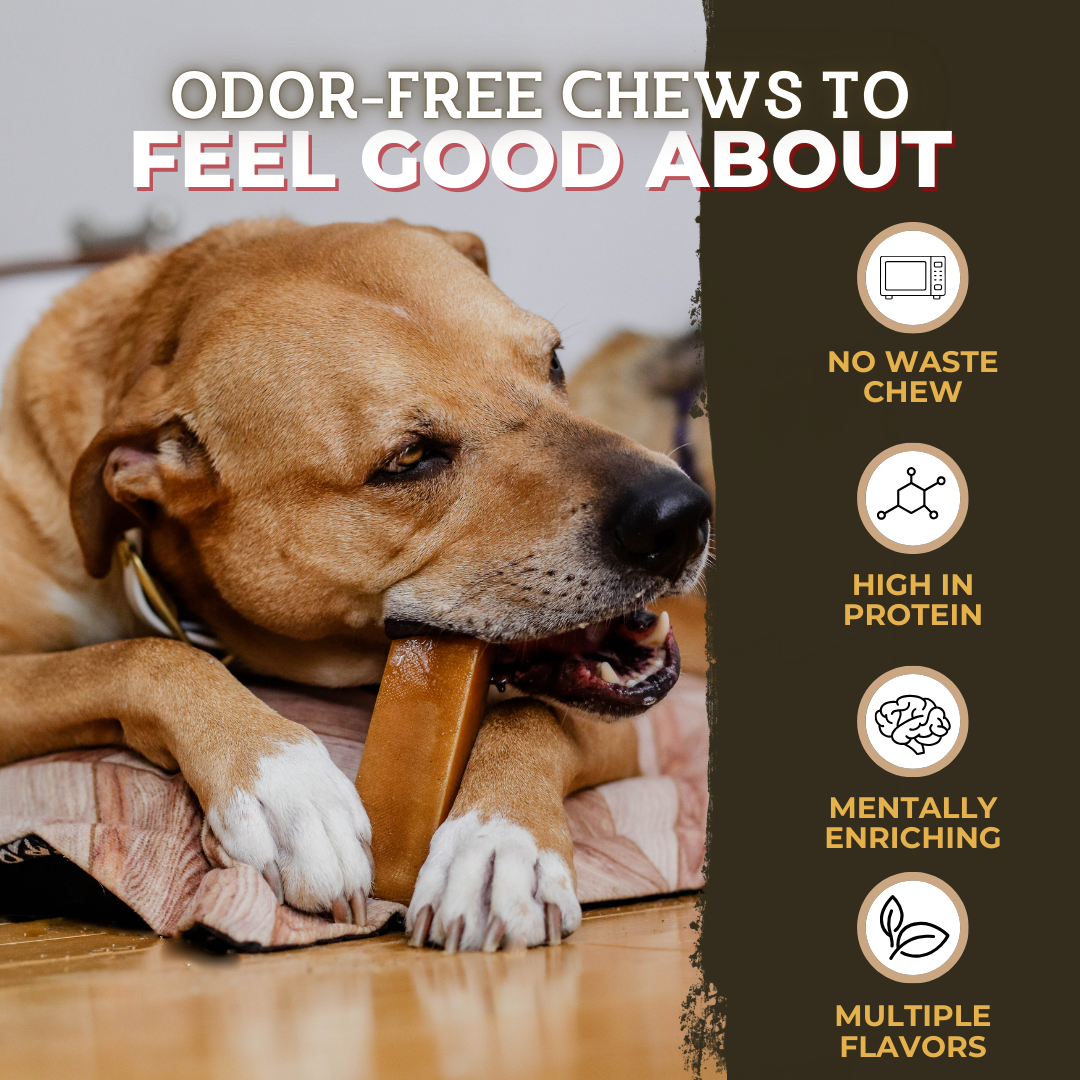 Himalayan Yak Chew (LARGE)