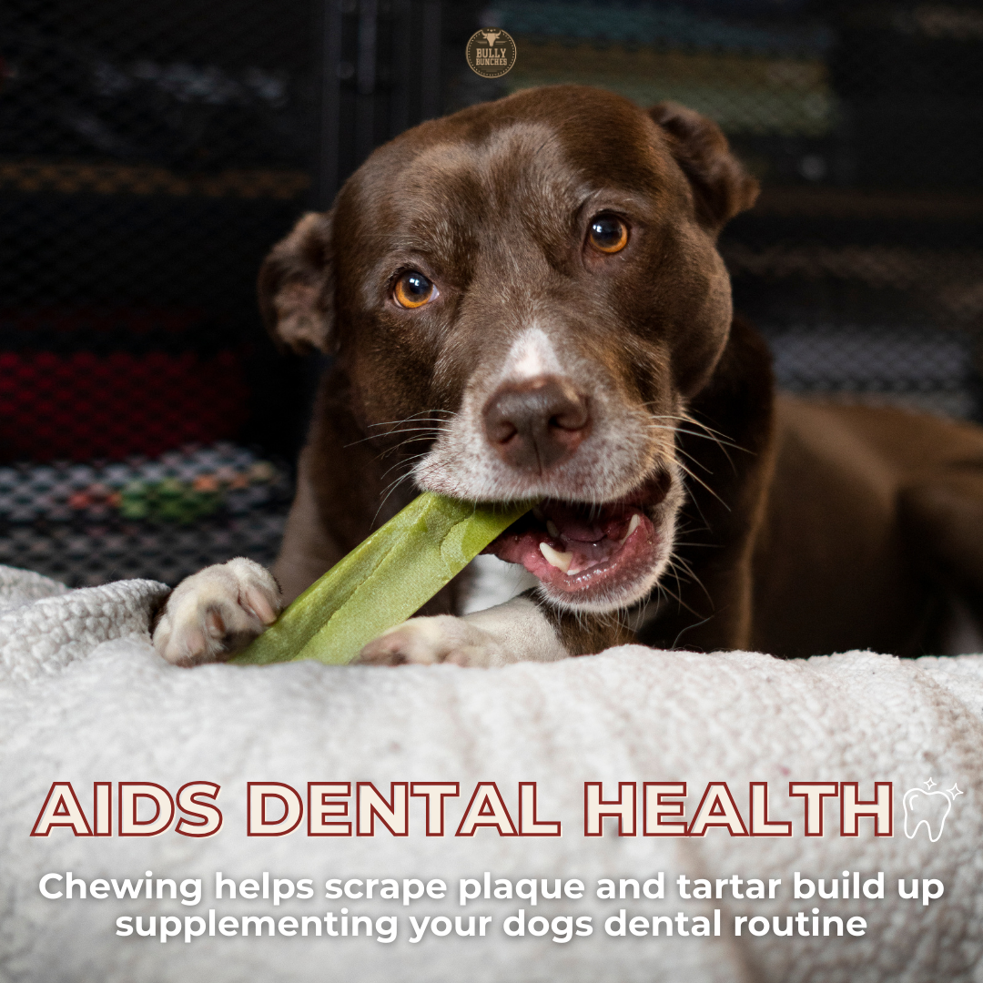 Himalayan Yak Chew (LARGE)