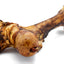 Monster Femur Bone