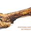 Monster Femur Bone
