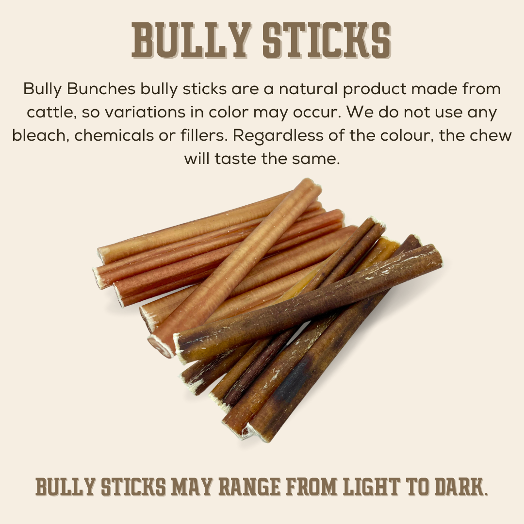 12 Inch Mega Monster Bully Stick LIMITED